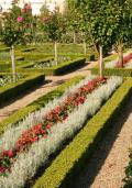 Zöldségeskert-virágparterre