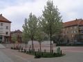 Forrás: garten.cz